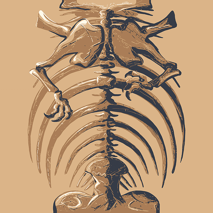 The Chimera Collection