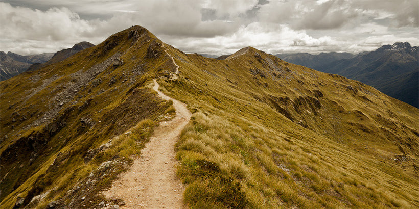 New Zealand