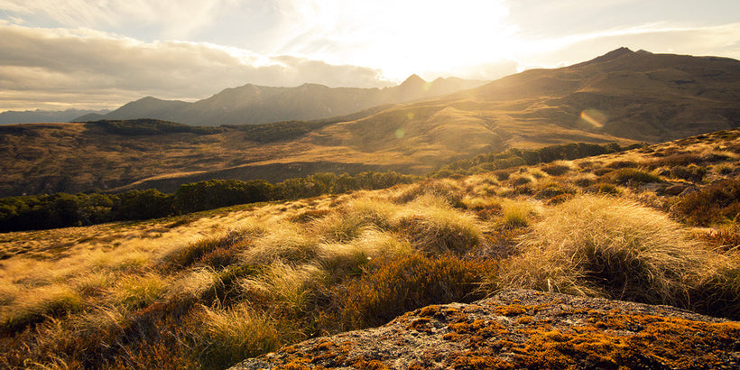 New Zealand