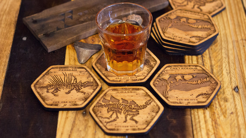 Dinosaur Fossil Coasters