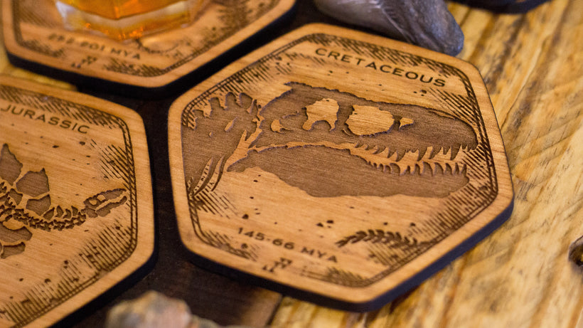 Dinosaur Fossil Coasters
