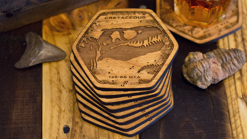 Dinosaur Fossil Coasters