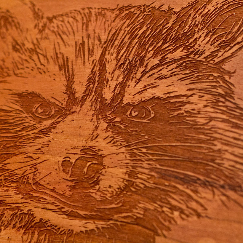 What's a Raccoon? Wood Portrait