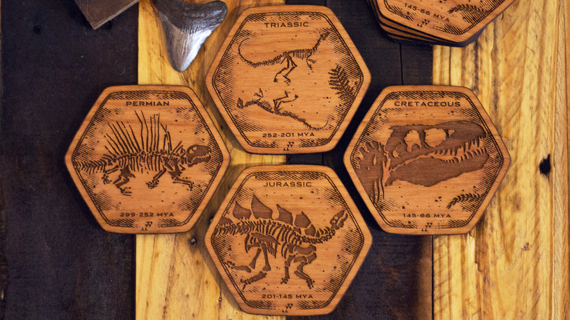 Dinosaur Fossil Coasters
